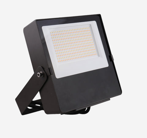 Mini Flood Light 100W 3CCT FM Bracket  #235