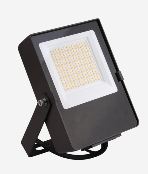 Mini Flood Light 55W 3CCT FM Bracket  #231