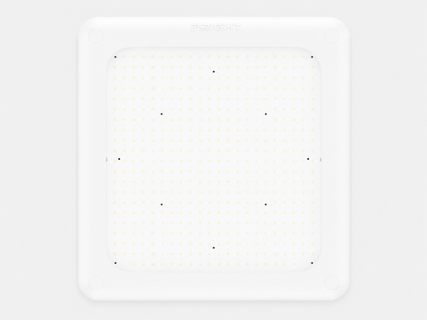 240W/200W/160W Canopy, watt selectable, 5700k Glass Cover #108
