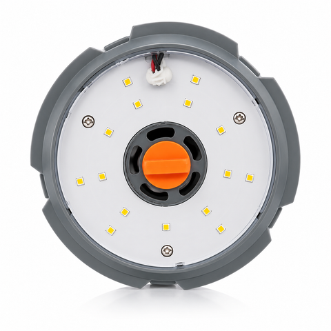 60W/ 80W/ 100W Corn Bulb, 3CCT #169