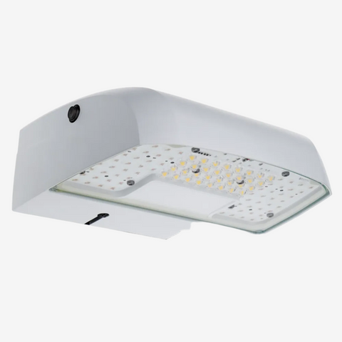 2L-8L OSQ Series Cree LED Wallpack